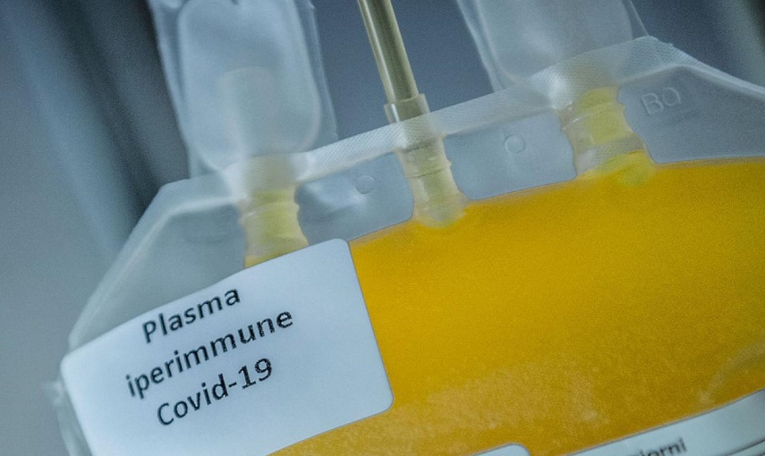 coronavirus polemiche sul trattamento con plasma iperimmune